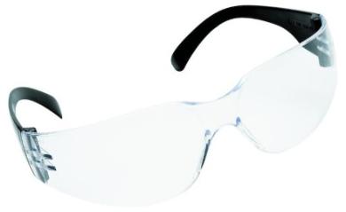 Skyddsglasögon Cheetah klara